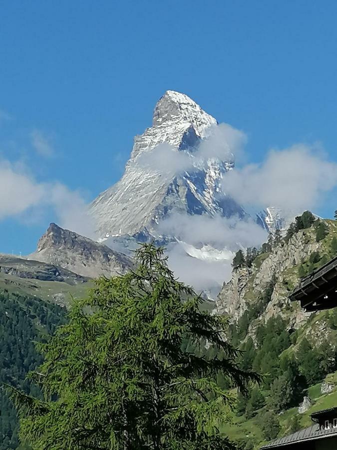 Petit Helvetia Budget Hotel Zermatt Dış mekan fotoğraf